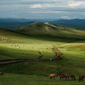 Un jour, j'irai en Mongolie...