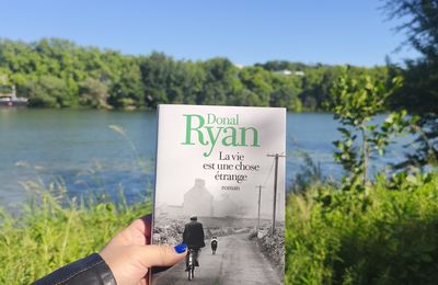 La vie est une chose étrange, Donal Ryan: l'Irlande en plein cœur