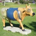 Shepparton Cows