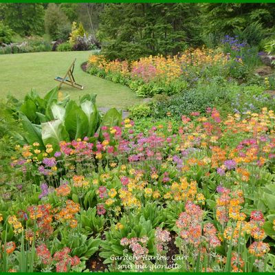 Les jardins de Harlow Carr; YORKSHIRE, Angleterre - 1ère partie/2