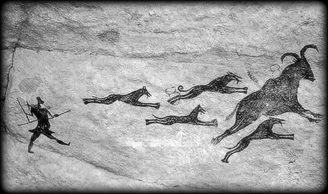 MILAN KUNDERA, ANIMAUX,  MALTRAITANCE, FAILLITE HUMAINE, SOCIETE, EVOLUTION
