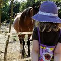 La Princesse et le Cheval