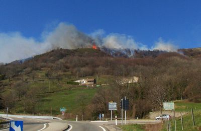 LE FEU DANS L'ESCRINET