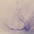 Yale Center for British Art Presents Unto This Last: Two Hundred Years of John Ruskin