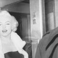 12/03/1955, New York - Marilyn au Harwyn Club