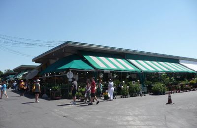 Le marché Jean Talon à Montréal