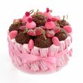 Gâteau de bonbons rose oursons chocolat