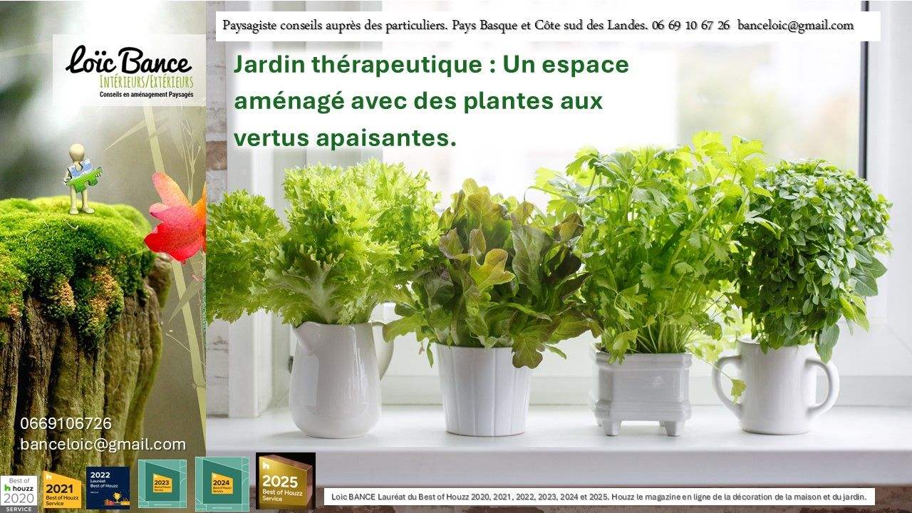 Loic BANCE, paysagiste Pays Basque, Paysagiste Landes, Paysagiste conseils aux particuliers.