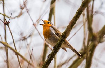 Fond sonore pour se concentrer ou se détendre