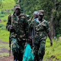 Flash: Le M23 a repris les armes contre les FARDC