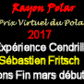 Prix Virtuel du Polar 2017 : L'Expérience Cendrillon