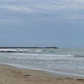 [Languedoc] la Tamarissière, entre plage et pinède...