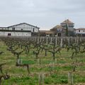 Primeurs 2014 : appellation Pessac-Léognan ( vins blancs)