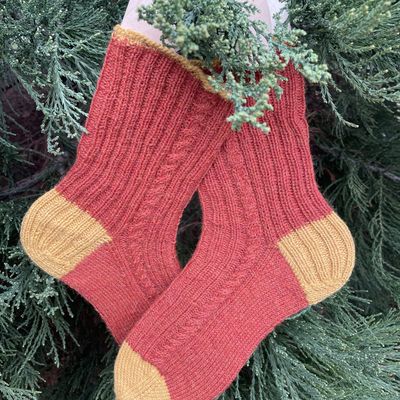 Les chaussettes de janvier !