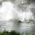 et plouf !!! dans l'eau du puy du fou 