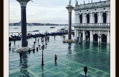 Tribune - Roberto Ferrucci : « Venise, une ville à l’agonie »