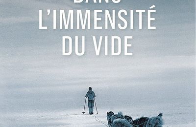 "Dans l'immensité du vide" de David Roberts