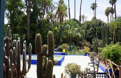 Majorelle