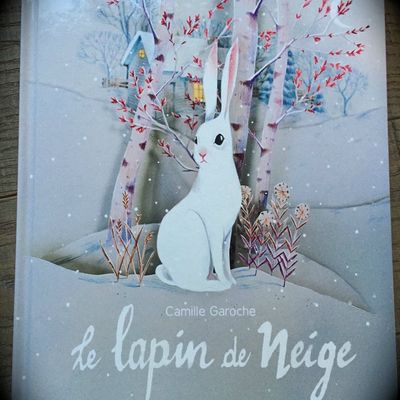 Le lapin de neige