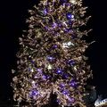 Marché de Noël de Strasbourg