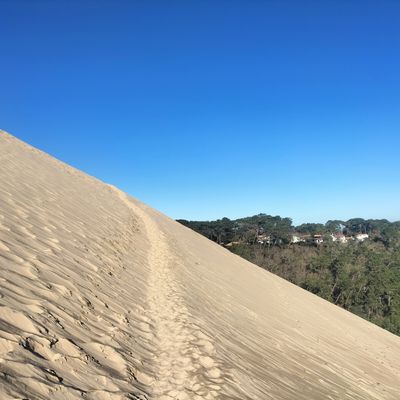 Balade d'hiver sur la Dune du Pilat, épisode 1 (33)