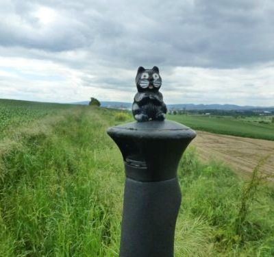 Mardi 18 juin 2013 - Burgos ==> retour à Nantes