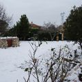 La neige dans le sud : Ce matin on a remis ça !! 