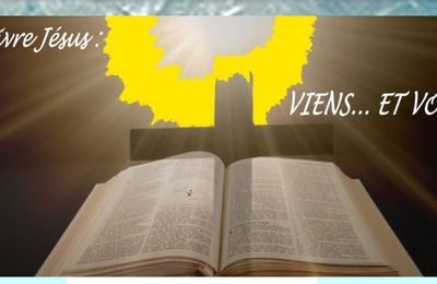 AUX PIEDS DU SEIGNEUR JESUS  53  TA VOLONTE (4) [Pour faire ta volonté]   Te chercher, Te prier !  [Tiré de Matthieu 7:7,8 - Ephésiens 1:7-9 - Psaumes 27:7-9]