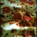 Escalopes de poulet mozzarella-parmesan