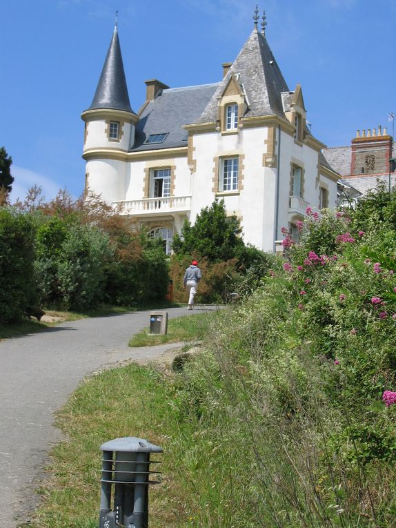Revoilà les cahutes à huitres le tas n'a pas diminué