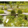 Au jardin de Bastide