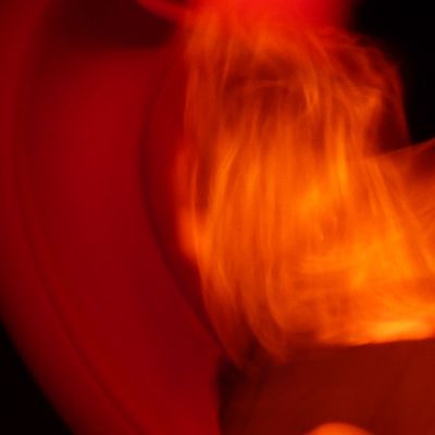 Je suis un petit taureau