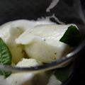 Sorbet citron basilic