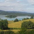 LA GUÊPE DU LAC DE MONTBEL