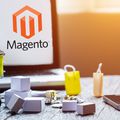 Optimizing Your eCommerce Presence with Magento Product Upload and Listing Services