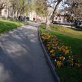 le parc public derrière la mairie de Saint-Chamond, 14 avril 2021