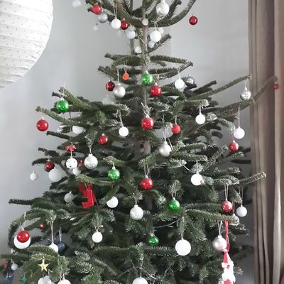 se faire une raison, 