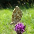 Exposition Photo Nature de l'Ouest 88 2022