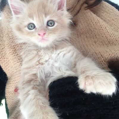 My Christmas Gift...