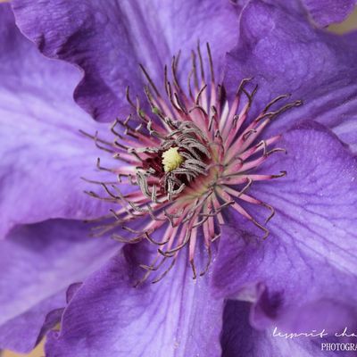 L'été est -il arrivé ?