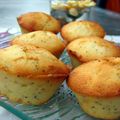 Tini: le retour avec les Muffins aux graines de pavot