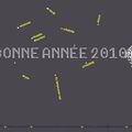 BELLE ANNEE 2010