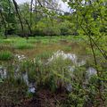 Dimanche 25 avril à Bouliac, à Mérignac-Le Burck et à Blanquefort-Caychac