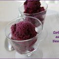 Sorbet laitier aux bleuets et au chocolat, sans gluten et sans lactose