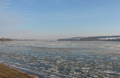 Des fleurs de glace sur la Loire