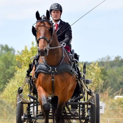 JULES D'EMERAUDE ET IMAGE DE LA PIERRE