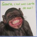 2016 Année du Singe ...