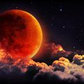 COMPLAINTE POUR UNE PLANETE BLESSEE