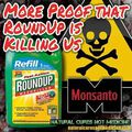 Lien entre l'Utilisation massive du Roundup de Monsanto et l' intolérance au gluten 