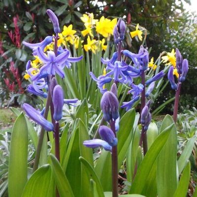 Sur un air de printemps !